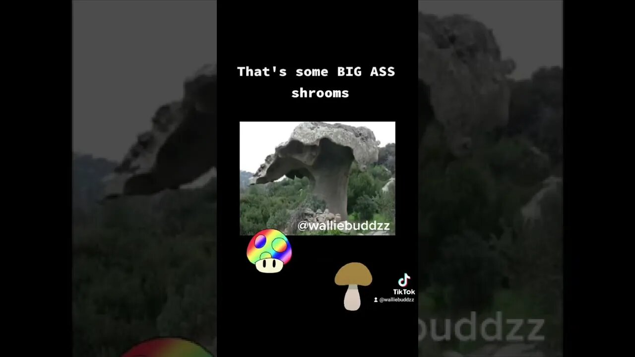 Big ass Shooms