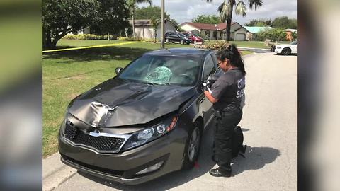 Woman hits boyfriend with car following argument in Port St. Lucie, police say