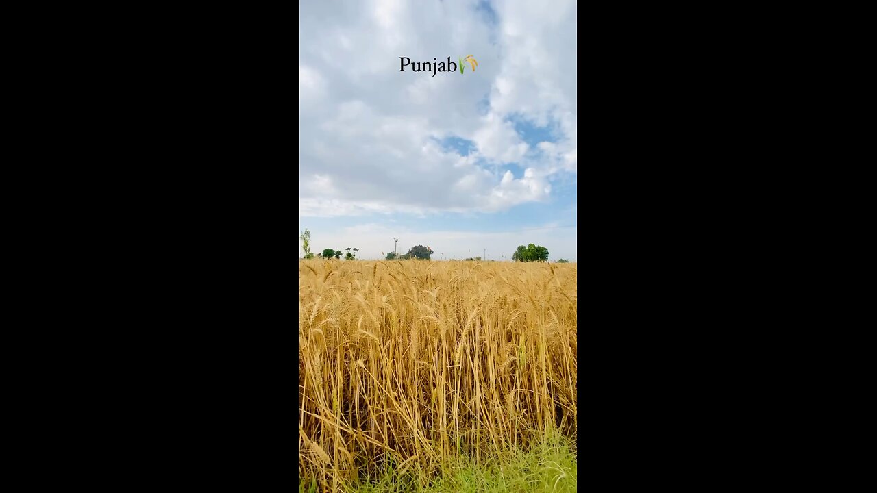 Punjab