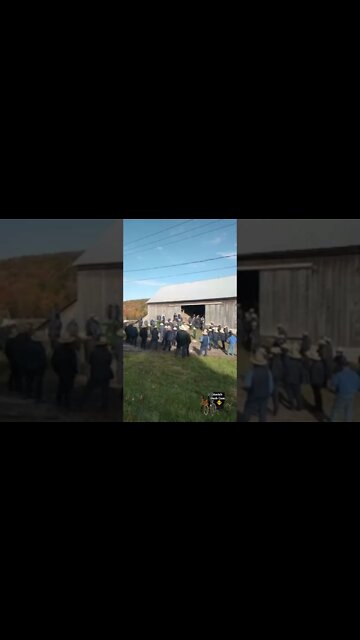 Amish Auction