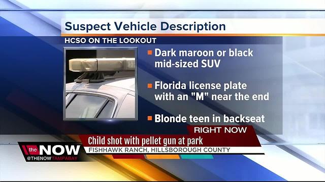 Child shot with pellet gun in Fishhawk area park