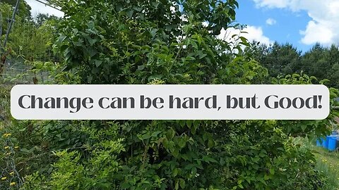 It's OKAY to shift Priorities! | Making the Most on the Homestead