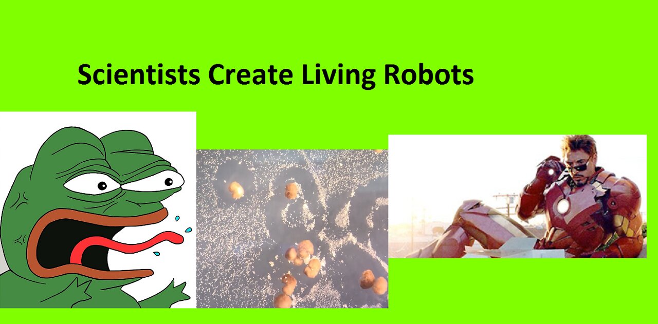 Scientists Create Living Robots