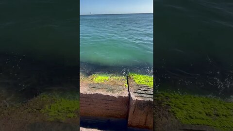 Scenic Morning Waves at the Jetty Rocks | #shorts #fishing #zen