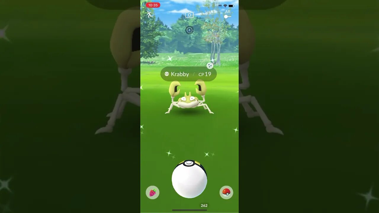 Shiny Compilation