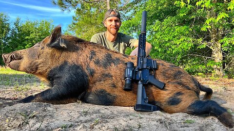 The Hunt For Bulldozer! Hog Hunting at Night with Thermal Optics!