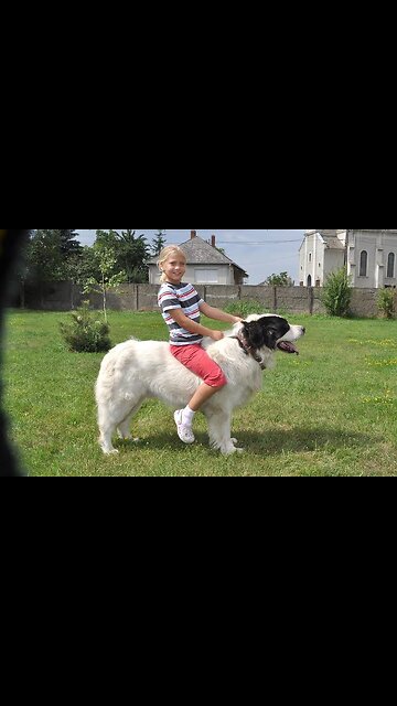 Don't try to disturbing