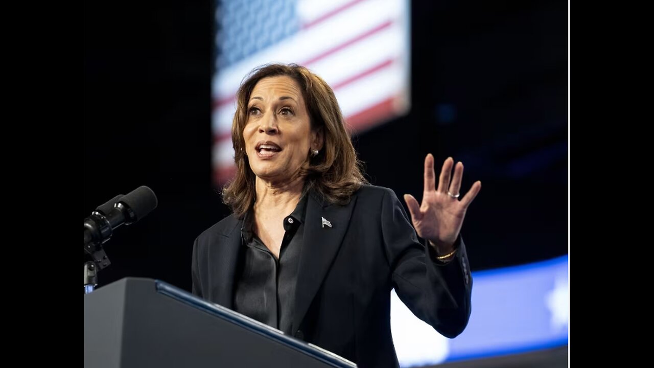 Midwest Dems Fear Harris Not Connecting With Working Class