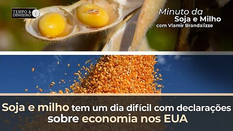 Soja e milho tem um dia difícil com declarações sobre economia nos EUA. Milho B3 tenta respirar.