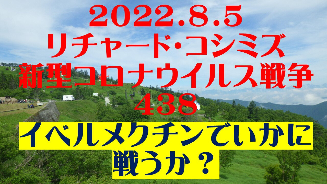 2022.08.05 リチャード・コシミズ新型コロナウイルス戦争438(437は欠番)