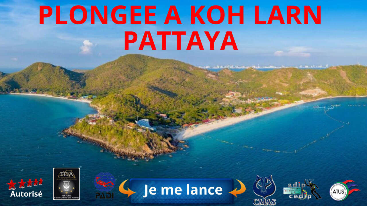 😜 🐋plongée relaxe a koh larn a #pattaya