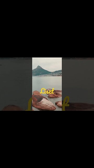 Liszt - Sonata in B minor - Subscribe For More #shorts #liszt #classicalmusic