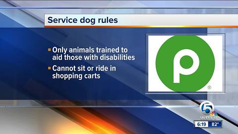 Publix cracks down on dogs in shopping carts