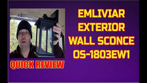 Emliviar 1 Light Exterior Wall Lantern in Black Finish