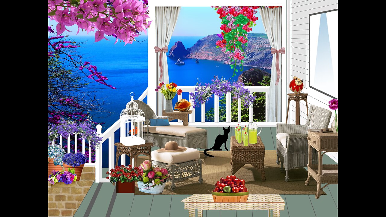 birds in the window