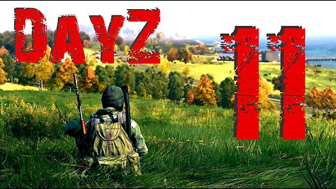 DayZ #11