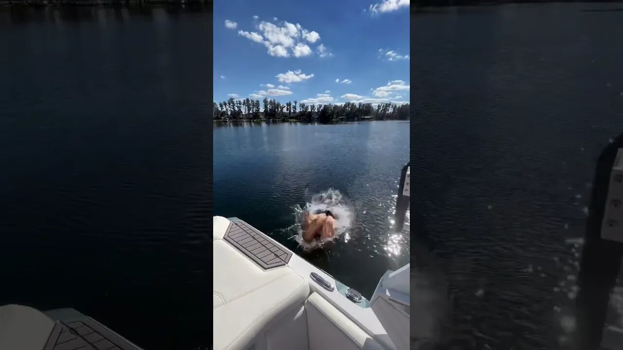 Turtle Dives are Too Fun! #shorts
