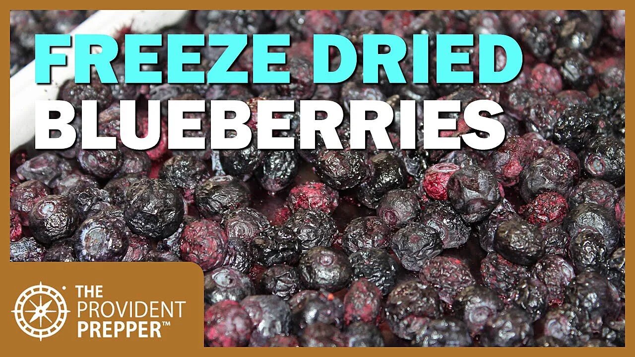 Food Storage: Freeze Dried Blueberries