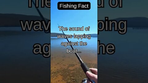 Fishing Facts #shorts #fishing #fishingfanatics