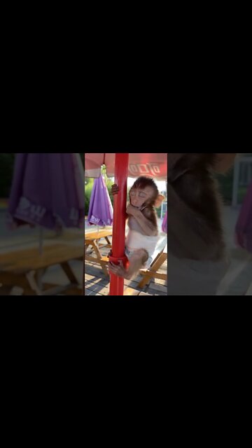 Most Amazing and trending video||relaxing your mind||trendig videos|| #shorts #trending #viral #live