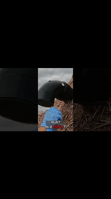 Caulk Jokes #offgrid #shorts #humor