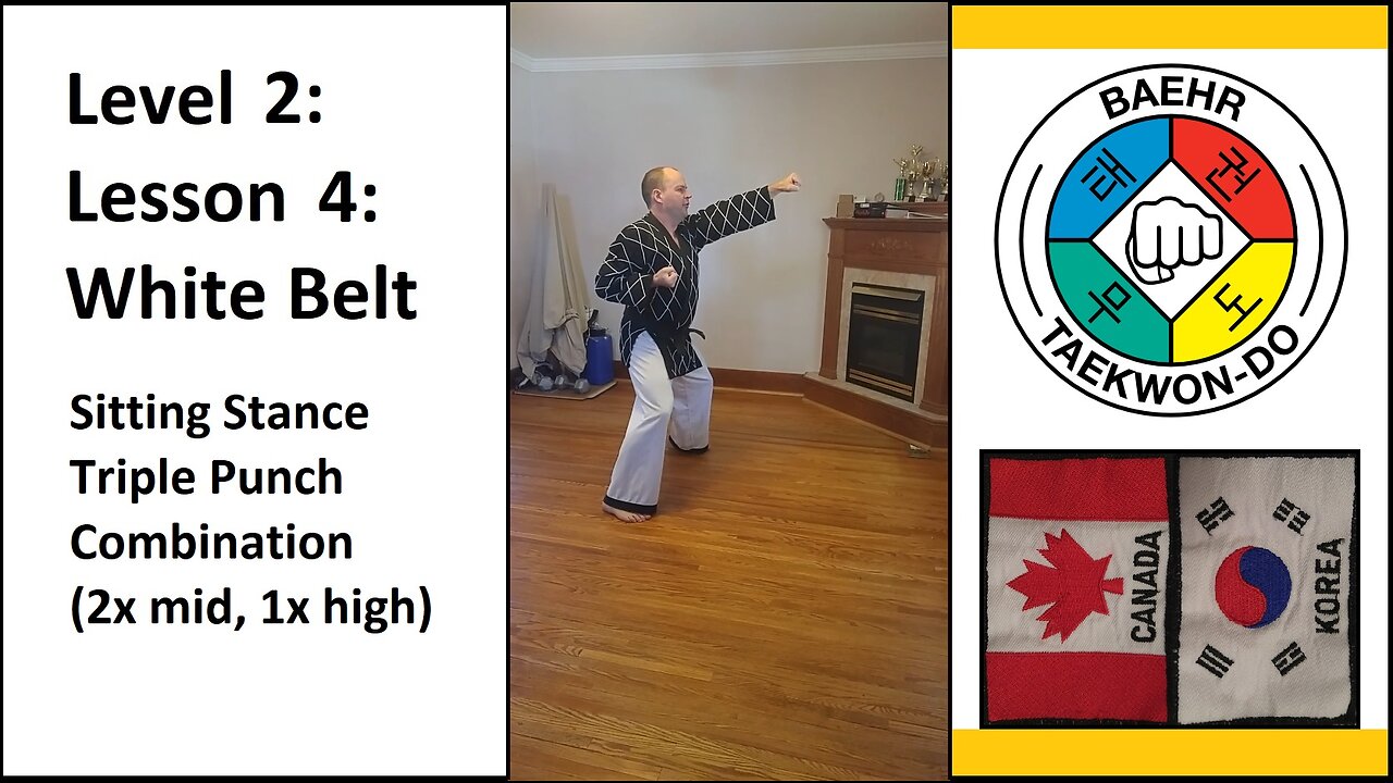 Baehr Taekwondo: 02-04: Yellow Stripe: Sitting Stance - Triple Punch Combo (2x middle, 1x high)