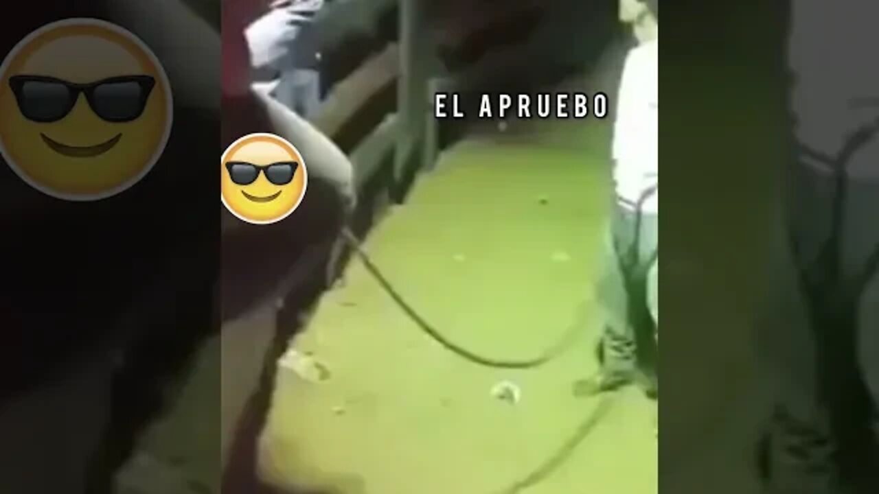 #shorts la realidad salva a #Chile