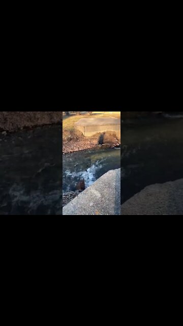 Water loud and clear