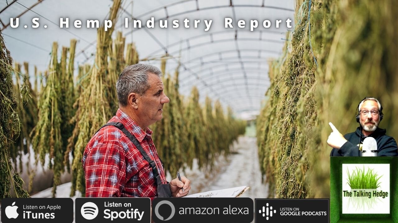 U.S. Hemp Market Update