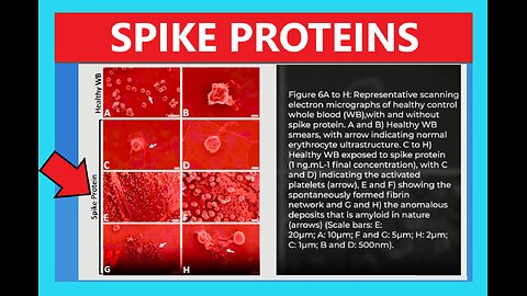 SPIKE PROTEINS