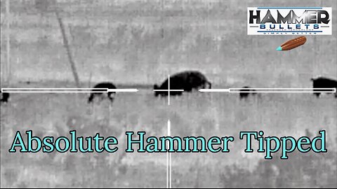 New 105gr Absolute Hammer Tipped Bullet 6.5 Grendel Hog Hunt