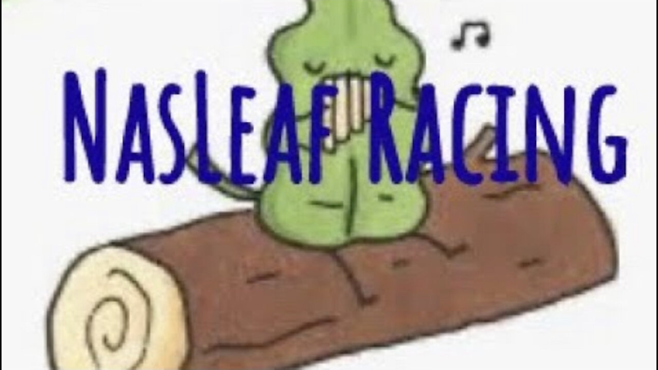 NasLeaf Racing