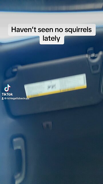 Haven’t been seeing no squirrels lately