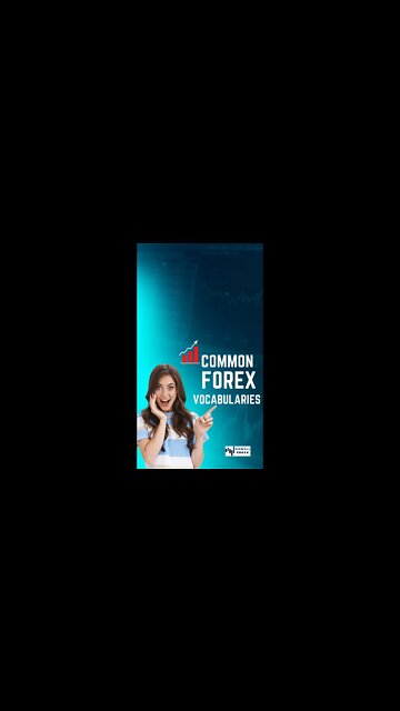 Common Terminologies/Vocabularies Used in Forex Trading for Beginners