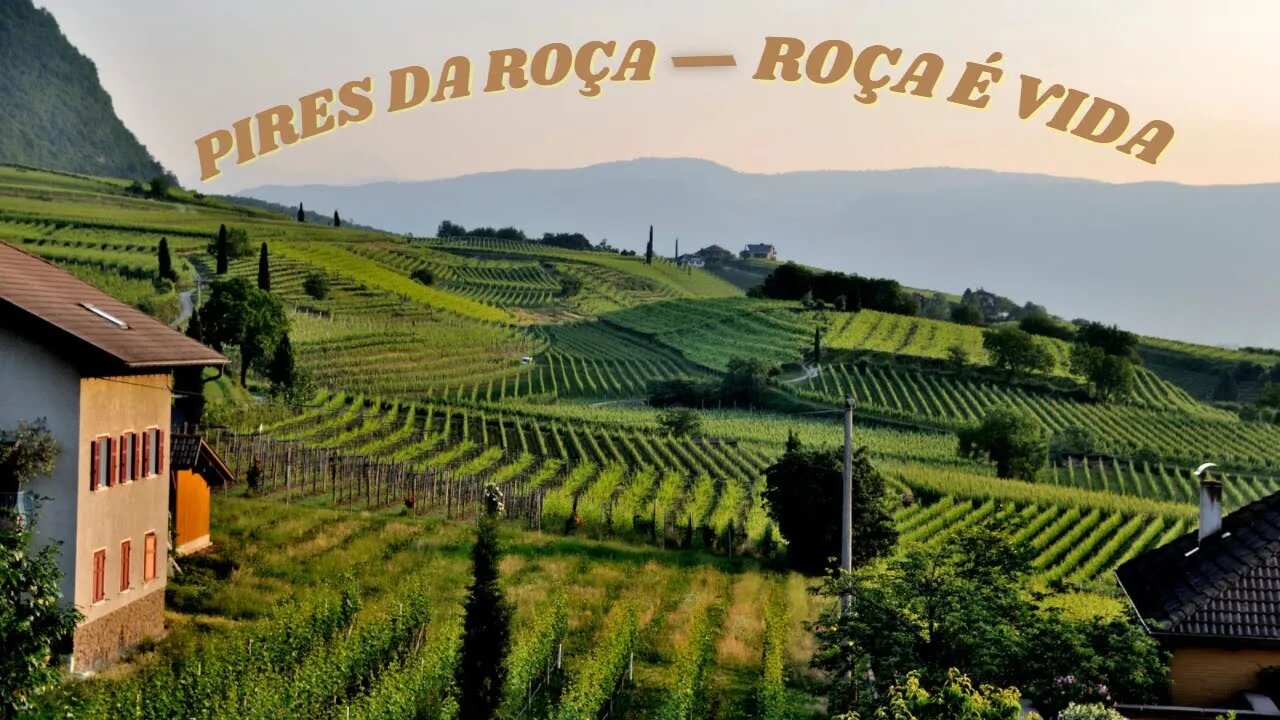 Novidades cá na Roça + Pitayal Roçadim...