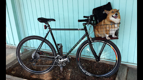 How to Ride a Bike With Your Wonderful Dog