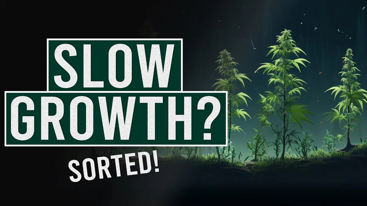 Slow Cannabis Growth? Diagnose & Fix!