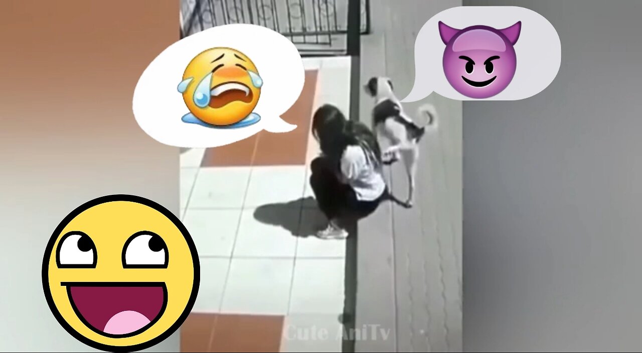 dog to urinate on this girl 😂😂😂 the dog 🤪 #dog #comedy #video #attitude