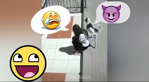 dog to urinate on this girl 😂😂😂 the dog 🤪 #dog #comedy #video #attitude