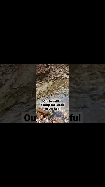 #waterfall #farmlife #nigeriandwarf #homestead