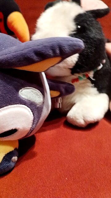 Bunny knocks toy over