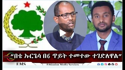 EMS “በቴ ኡርጌሳ በ6 ጥይት ተመተው ተገድለዋል” አቶ ለሚ ገመቹ የኦነግ የሕዝብ ግንኙነት ሓላፊ ለ ኢኤምኤስ እንደተናገሩት April 2024