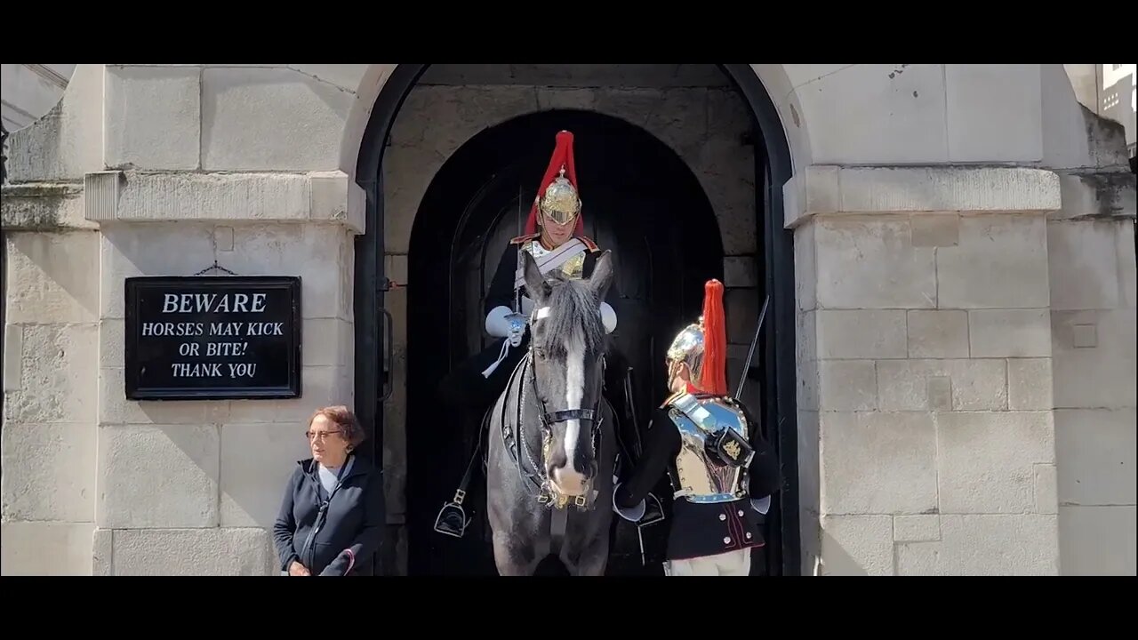 The guard won't say make way #horseguardsparade