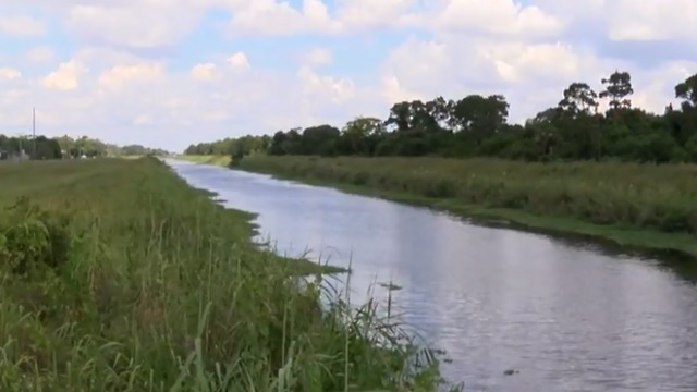 Toxic algae found in Fort Pierce