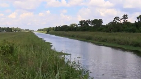 Toxic algae found in Fort Pierce