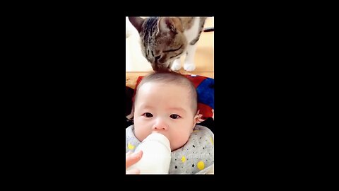 Funny cat with children