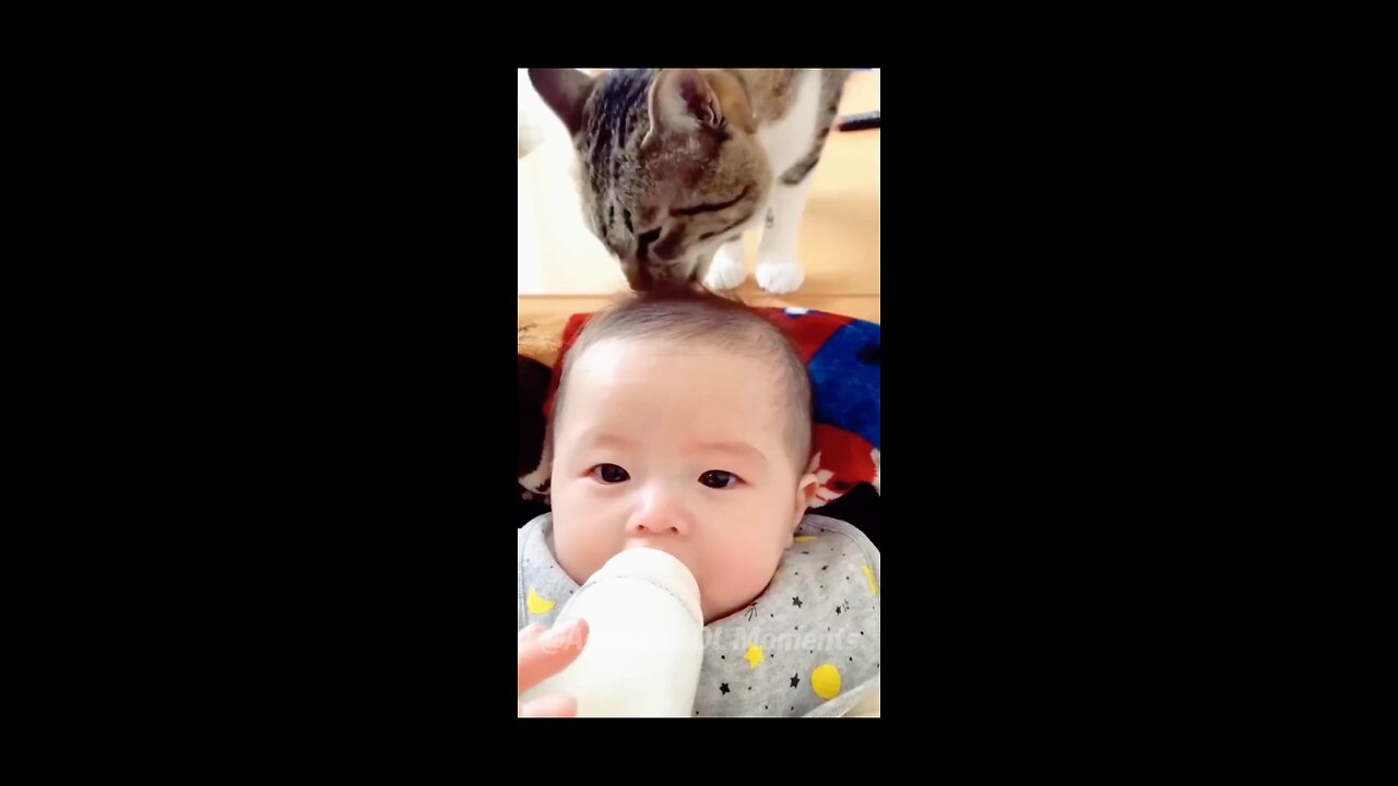 Funny cat with children