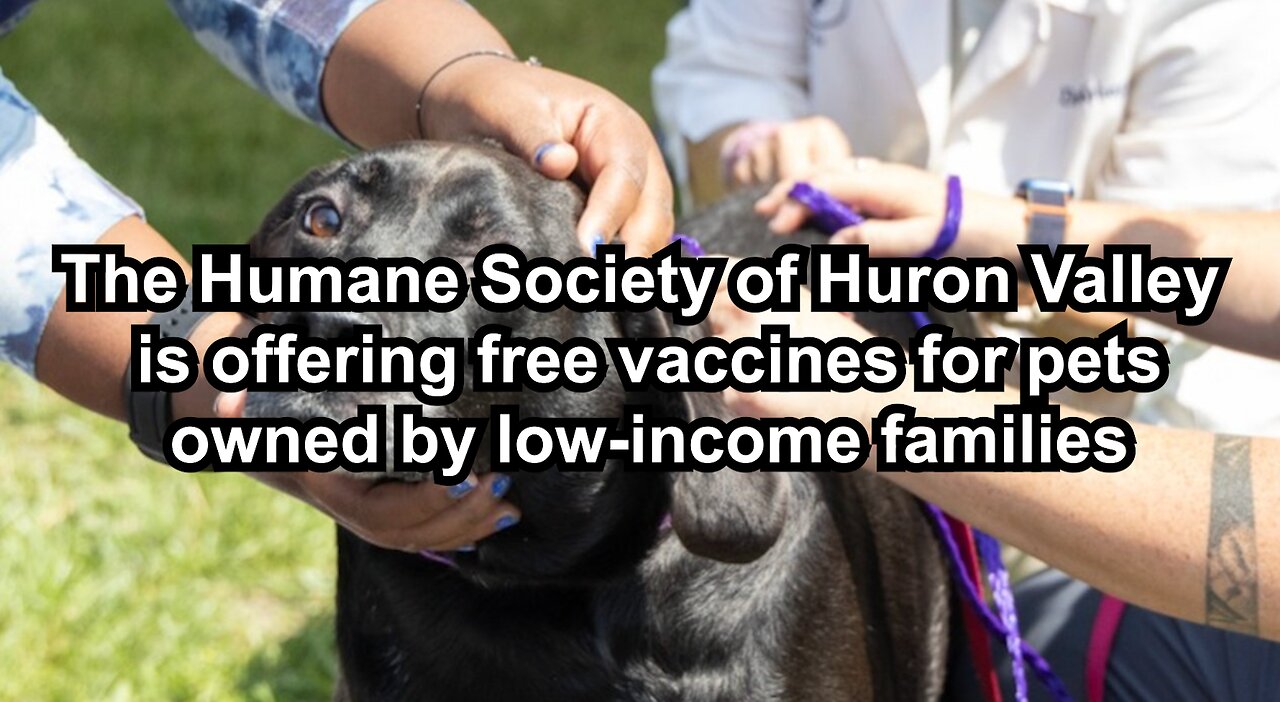 The Humane Society of Huron Valley is offering free vaccines for pets owned by low-income families