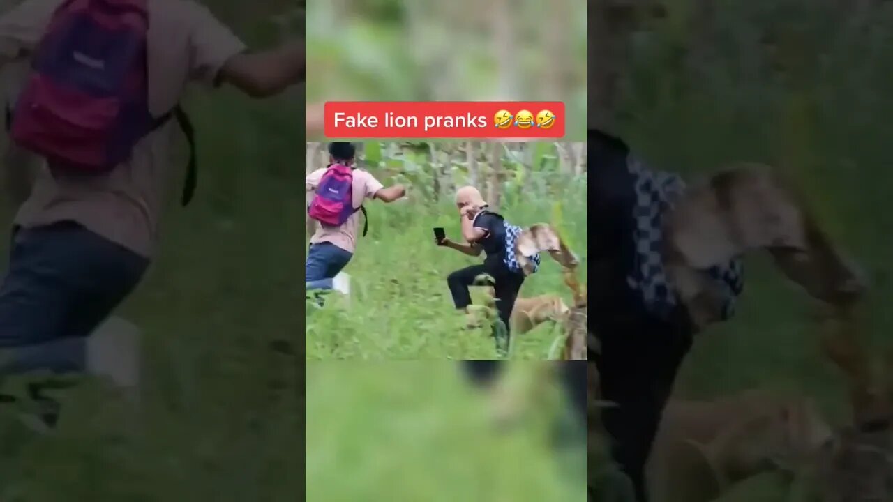Fake lion