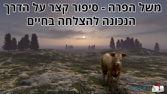 משל הפרה - סיפור מעורר השראה!